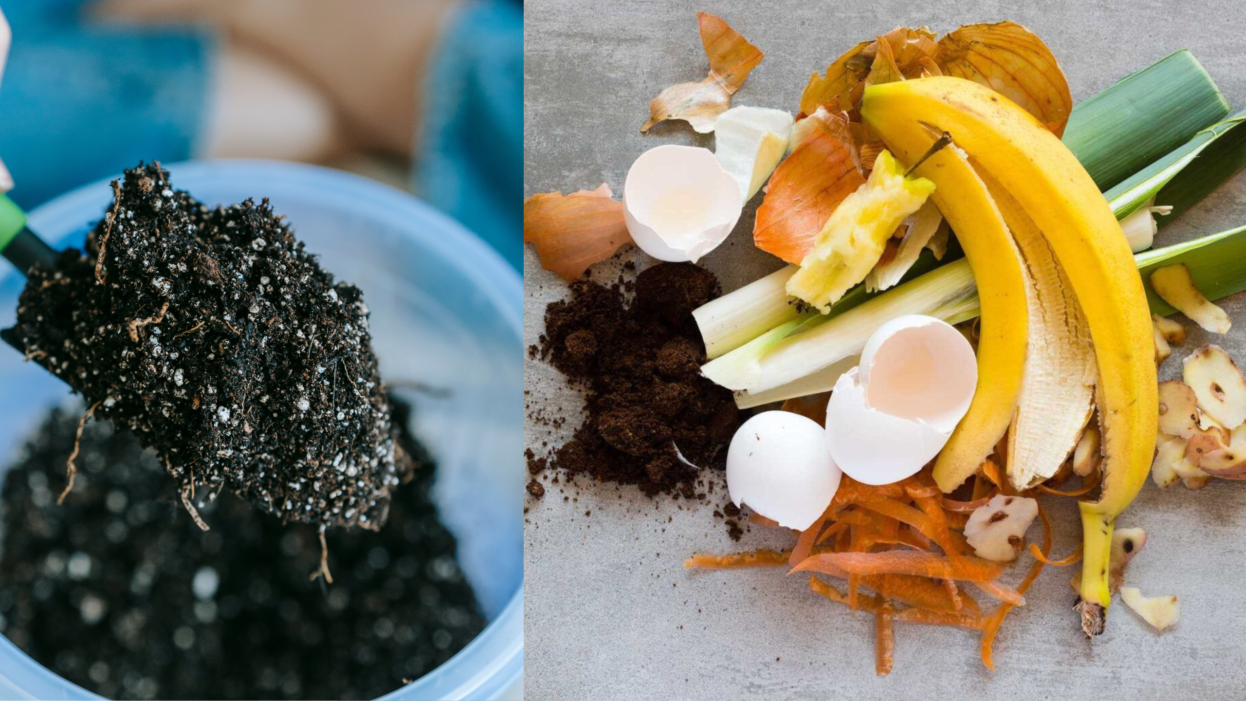 como fazer adubo caseiro organico