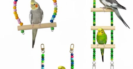 3 Melhores Brinquedos para Calopsitas: Veja os Mais Seguros e Divertidos